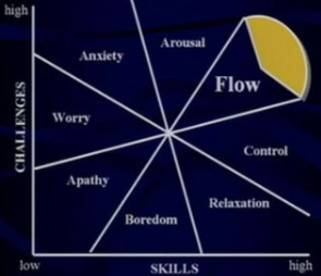 Csikszentmihalyi.png