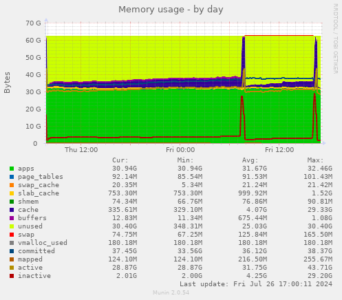 Munin memory-day 20240730.gif