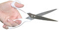 Thumbnail for version as of 00:50, 2 January 2013