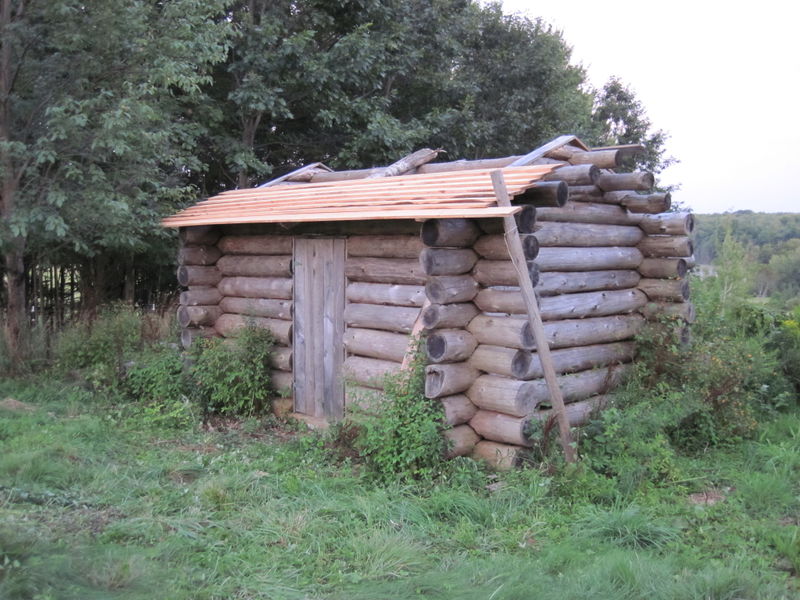 2013-08-17.JPG