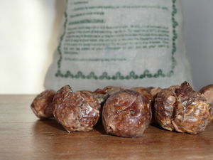Harvested Soapnuts