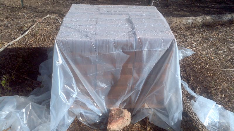 File:Local Sandy Loam Wrapped No Cracks yet.jpg
