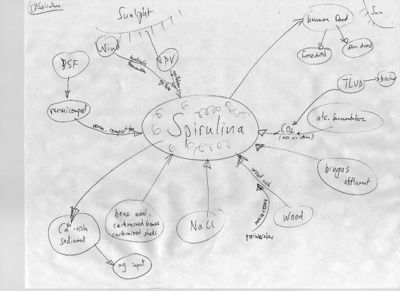 Diagram17-IFWMS-Kiehl2009Archive.jpg