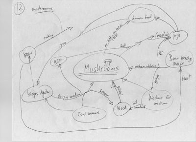 Diagram12-IFWMS-Kiehl2009Archive.jpg