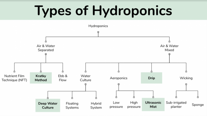 Hydroponics techinques map.png