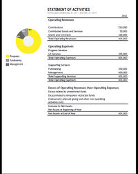 Annual Report - Financials - Mockup - 01.jpg