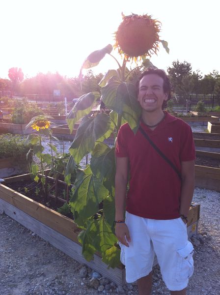 File:Luis Ospina.JPG