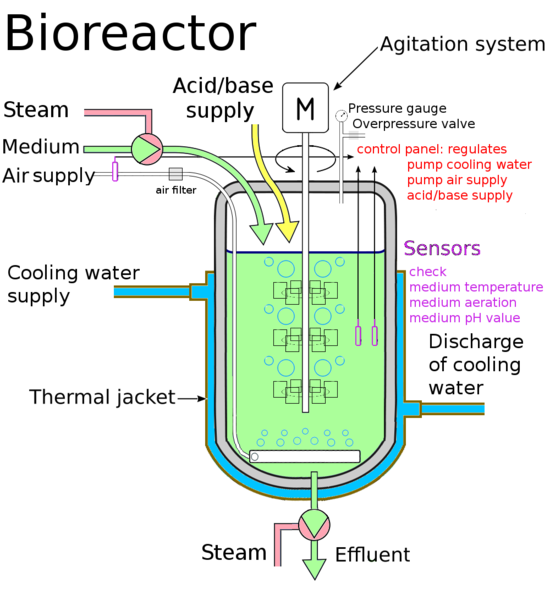 Fermentor - 550px Real Life Bioreactor