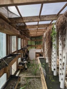Greenhouse 2021 0.jpg