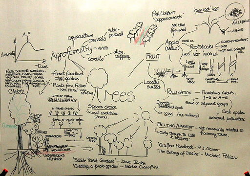 Edible Forest Gardening - Open Source Ecology