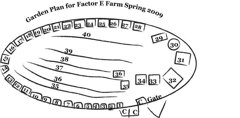 File:Garden-Plan1.jpg