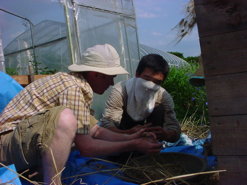 File:Finishing2.jpg