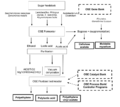 Thumbnail for version as of 14:11, 18 May 2012