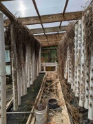 Greenhouse 2021 1.jpg